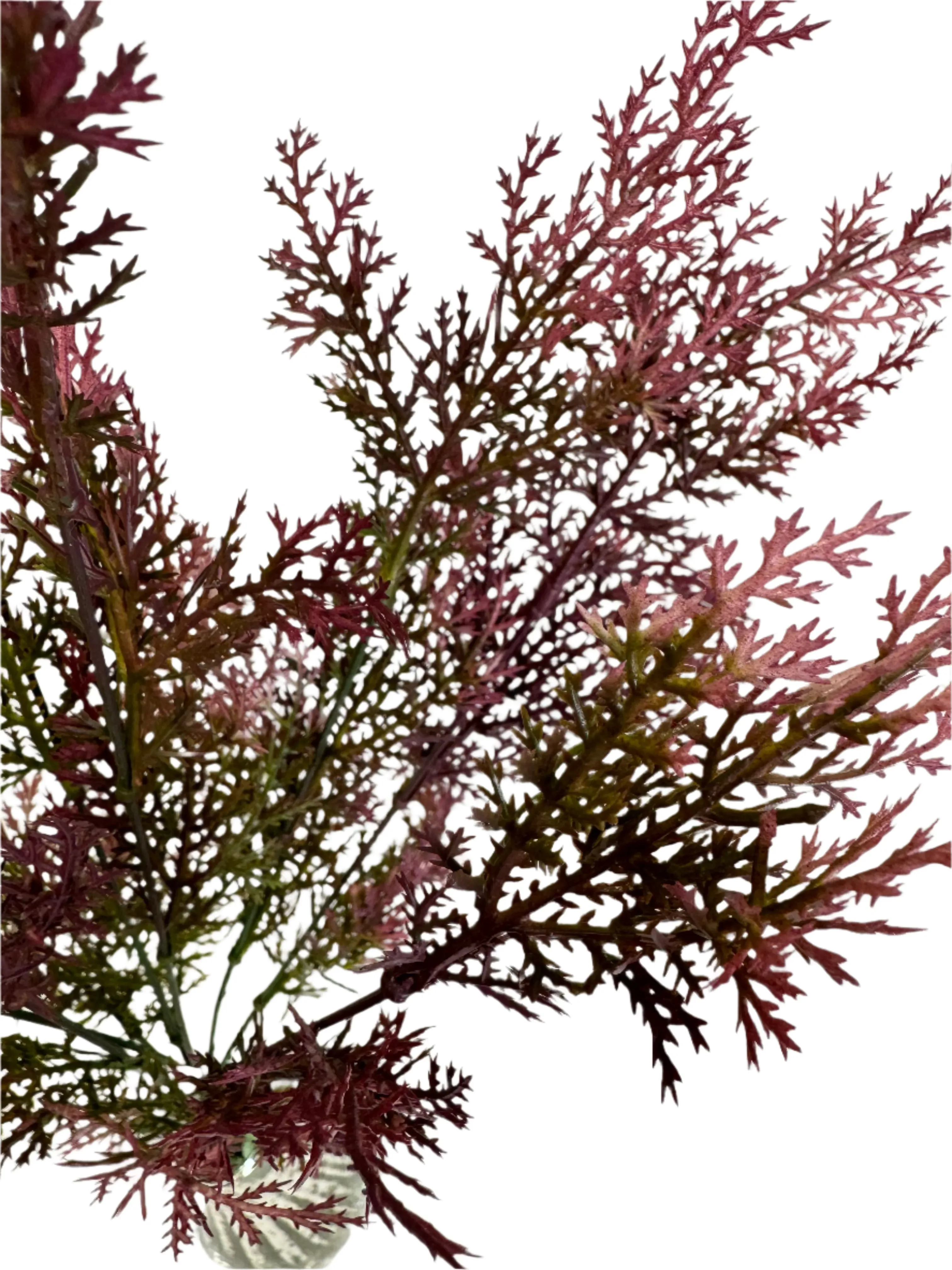 19" Cedar Bush: Burgundy, Pink, Green - 57219