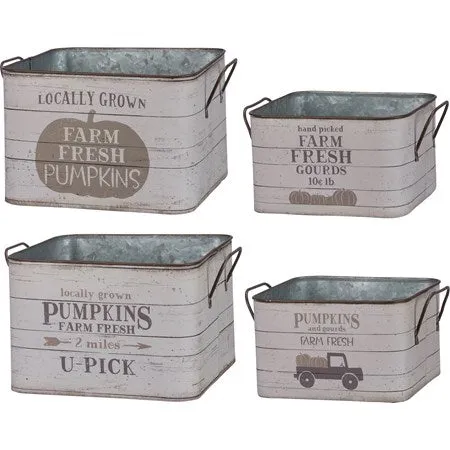 Bin Set - Fresh Pumpkins, Fresh Gourds