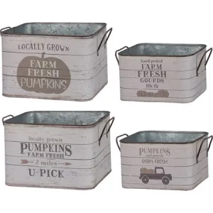 Bin Set - Fresh Pumpkins, Fresh Gourds