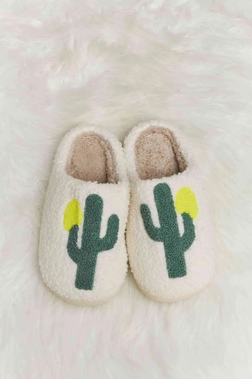 CACTUS SLIPPERS