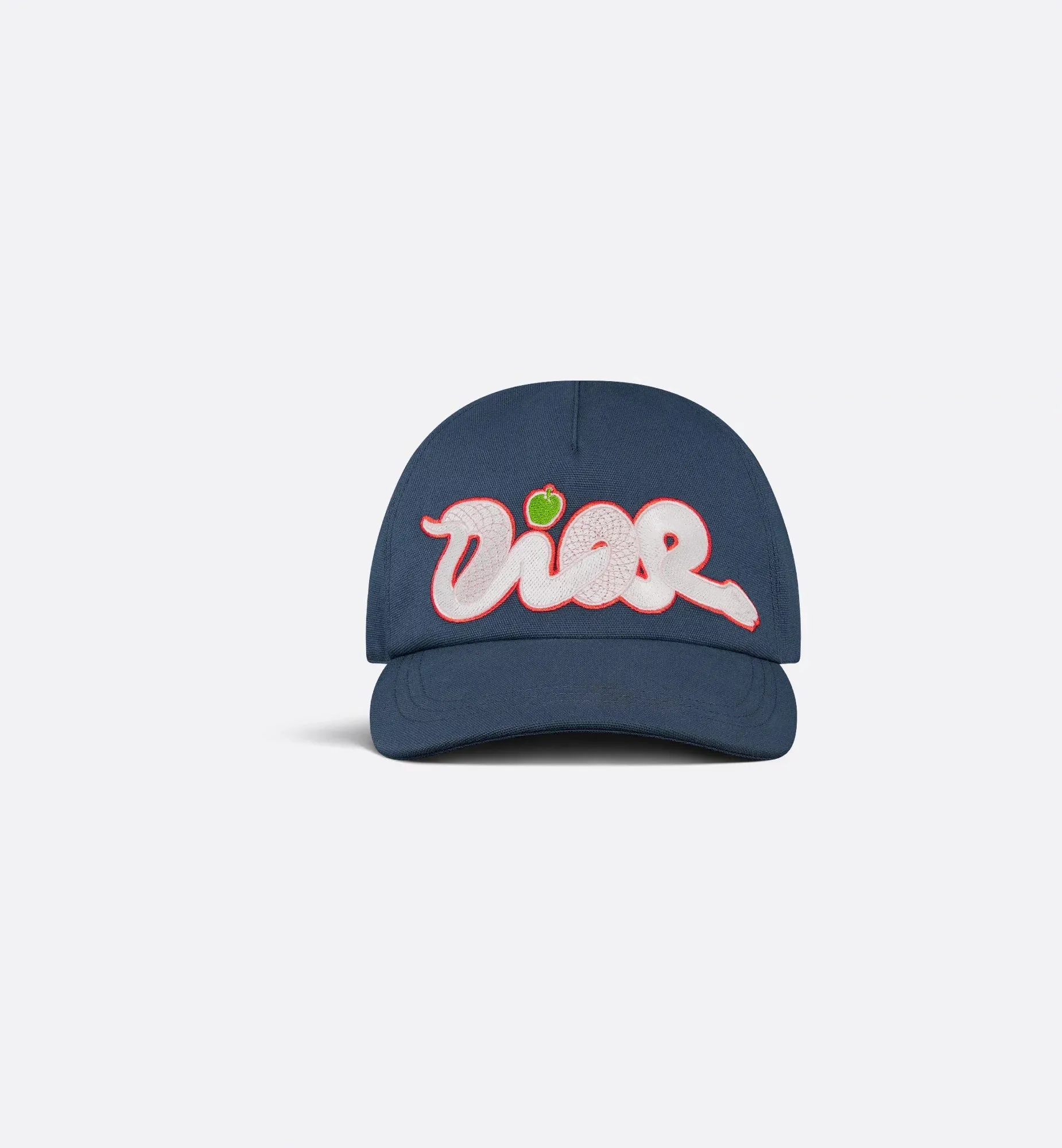 Dior And Kaws Cap
