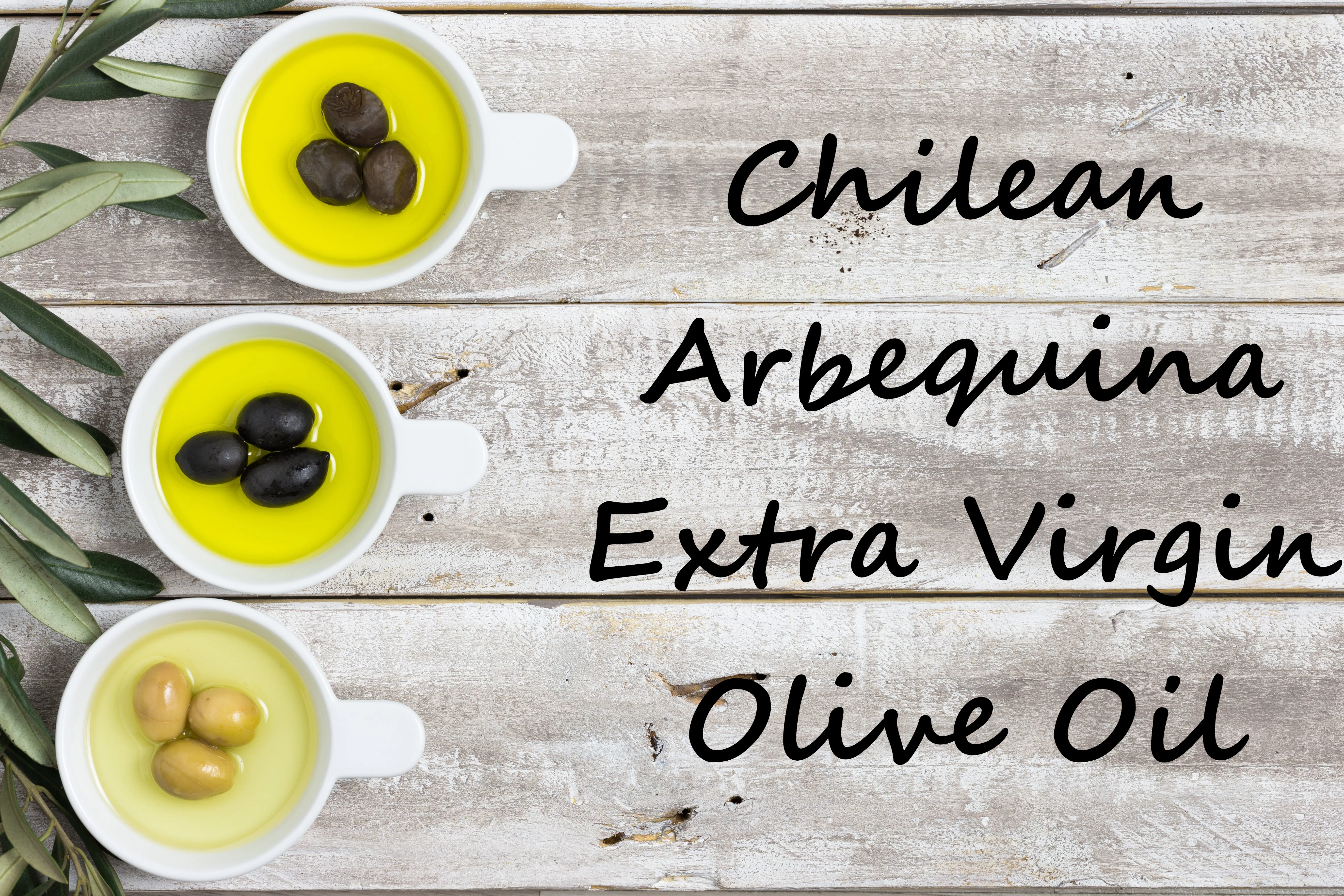 Extra Virgin Olive Oil - Chilean Arbequina Arbosona Korineiki