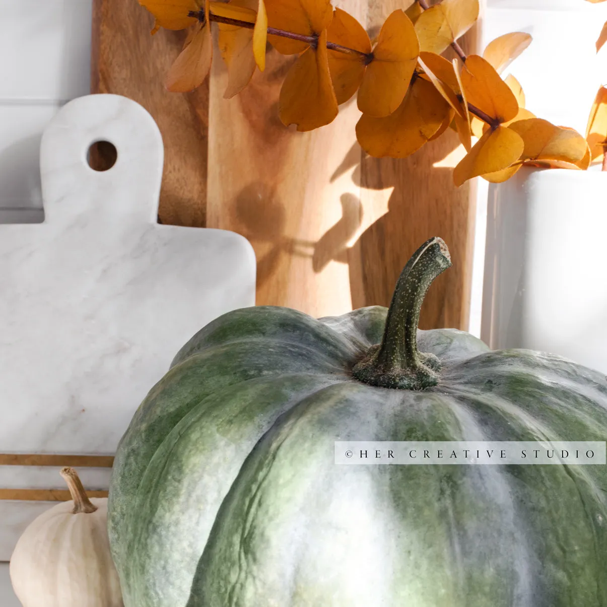 Green Pumpkin in Kitchen. Digital Stock Image.