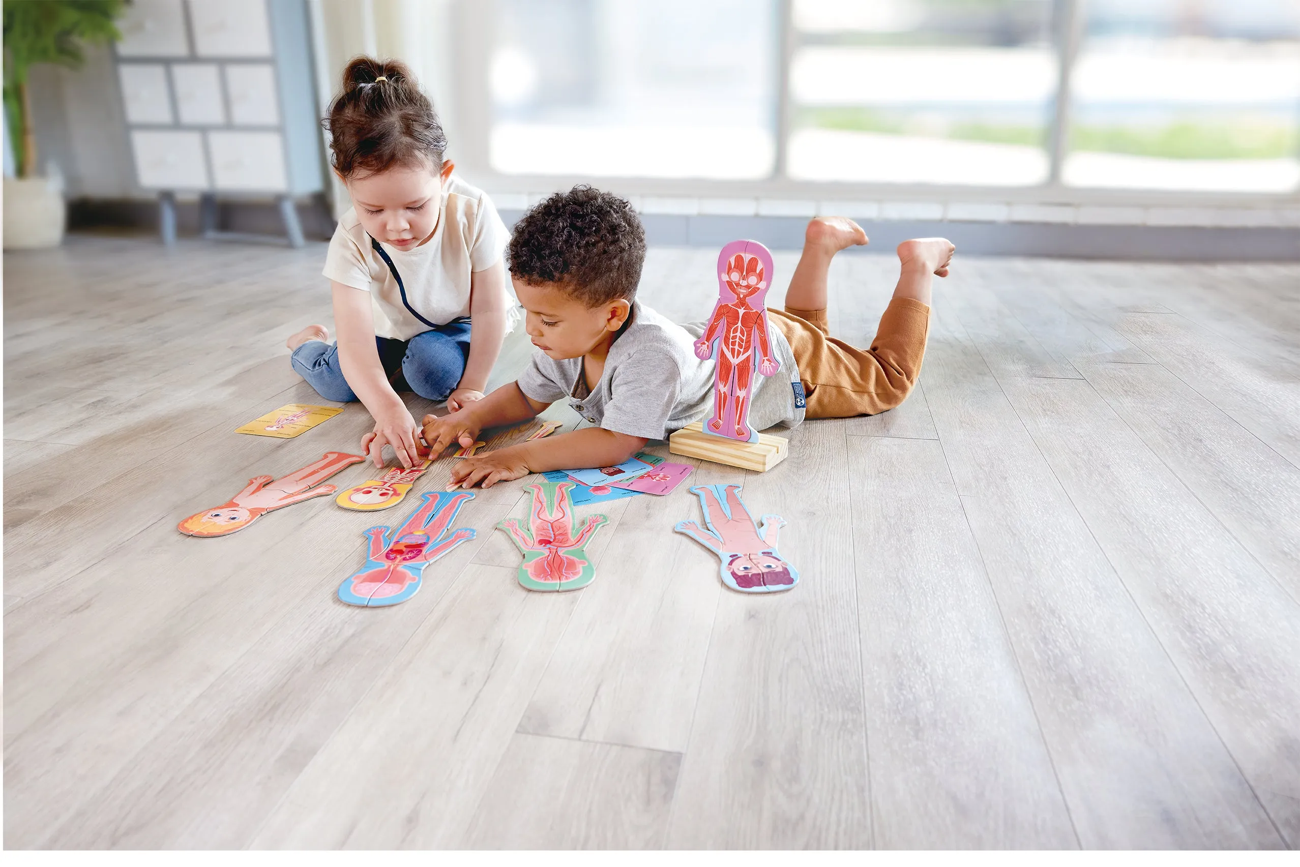 Hape MAGNETIC Human Body