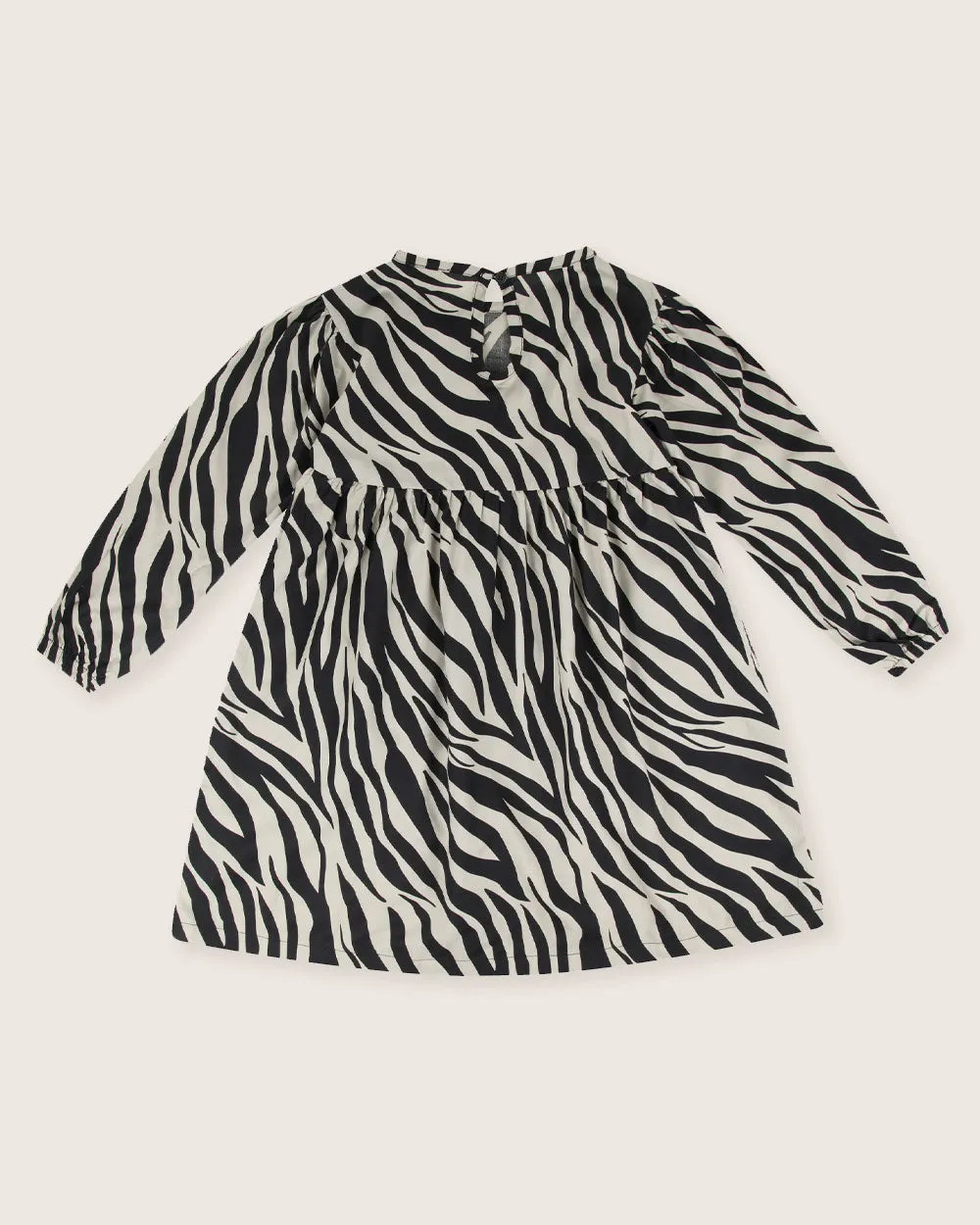 Multicolour Zebra Streak Print Dress