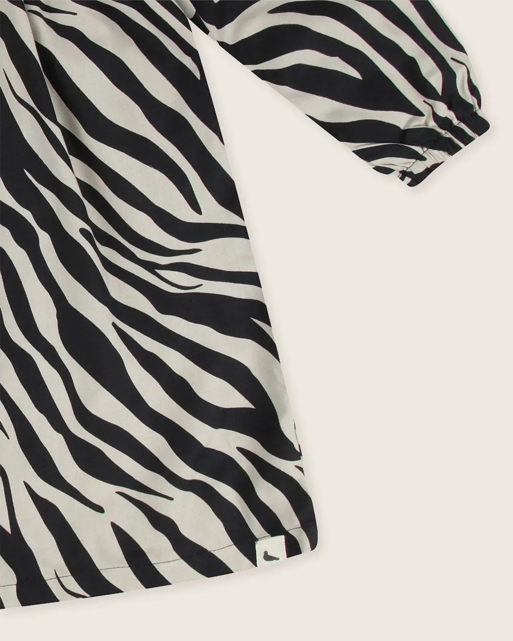 Multicolour Zebra Streak Print Dress
