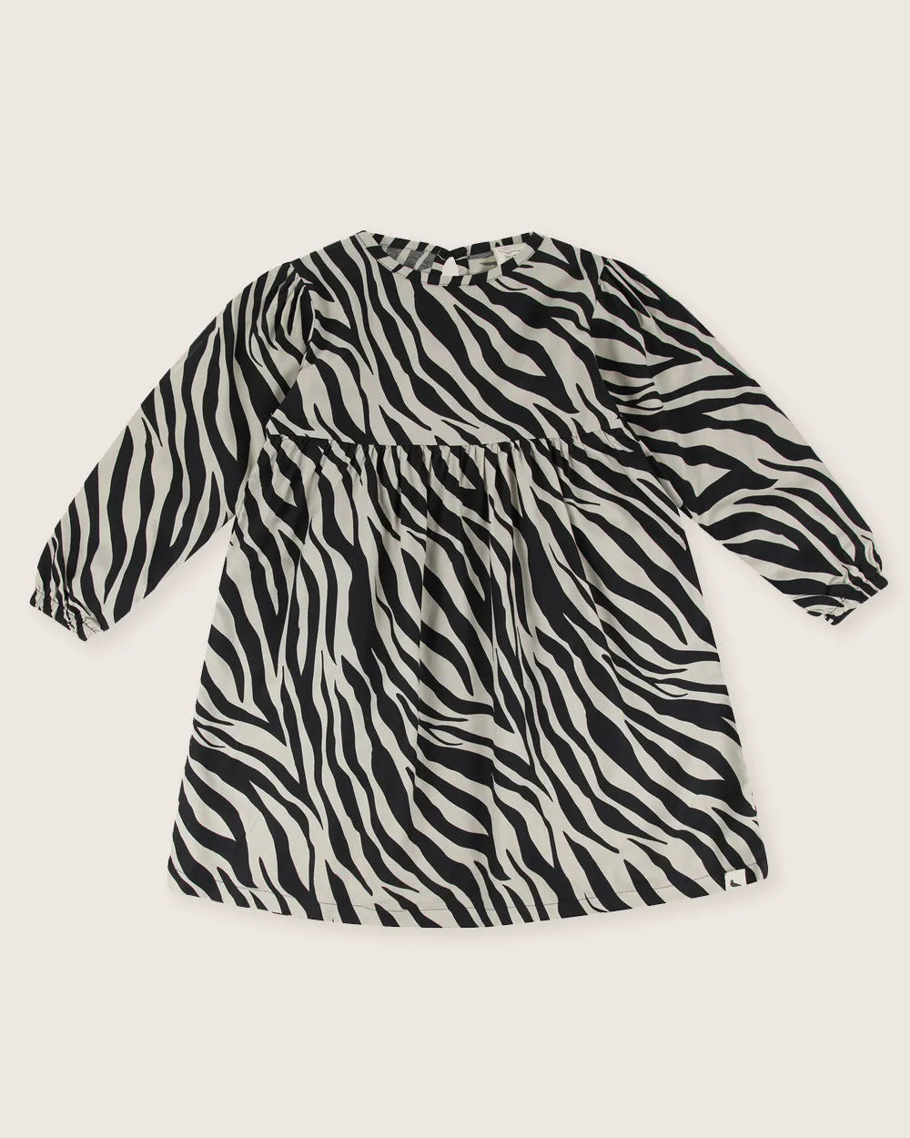 Multicolour Zebra Streak Print Dress