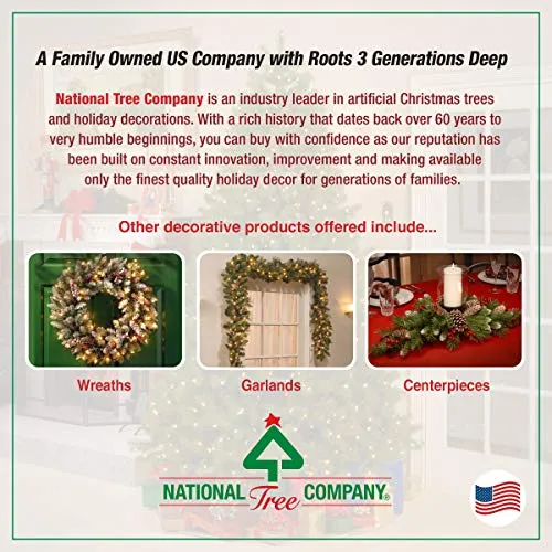 National Tree Company Pre-Lit Artificial Christmas Garland, Green, Frosted Berry, White Lights, Decorated with Pine Cones, Berry Clusters, Plug In, Christmas Collection, 9 Feet