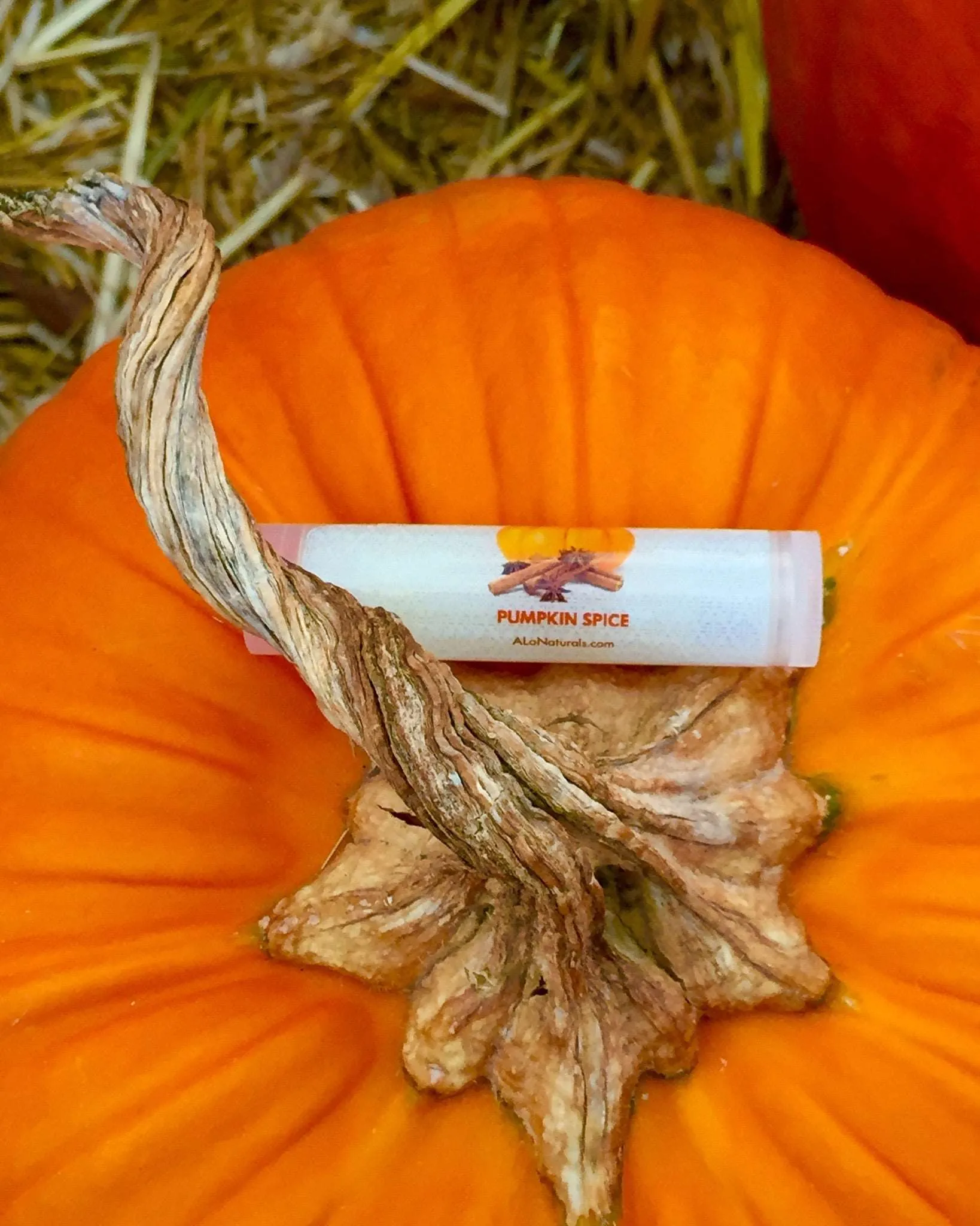 Pumpkin Spice