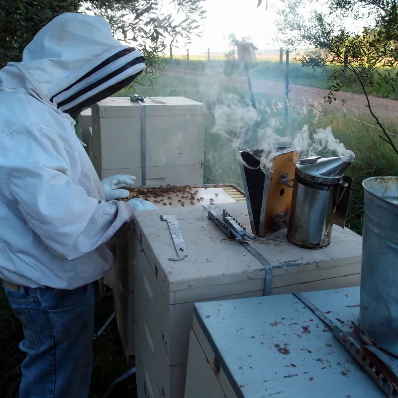 Pure Raw Australian Honey - buy in bulk to save