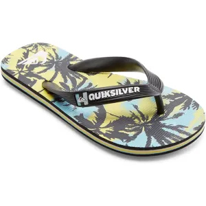 Quiksilver Boy's 8-16 Molokai Flip-Flops