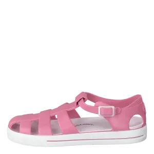 Sand Wp Strawberry Rose