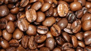 Seasonal Coffee - Chocolate Peppermint
