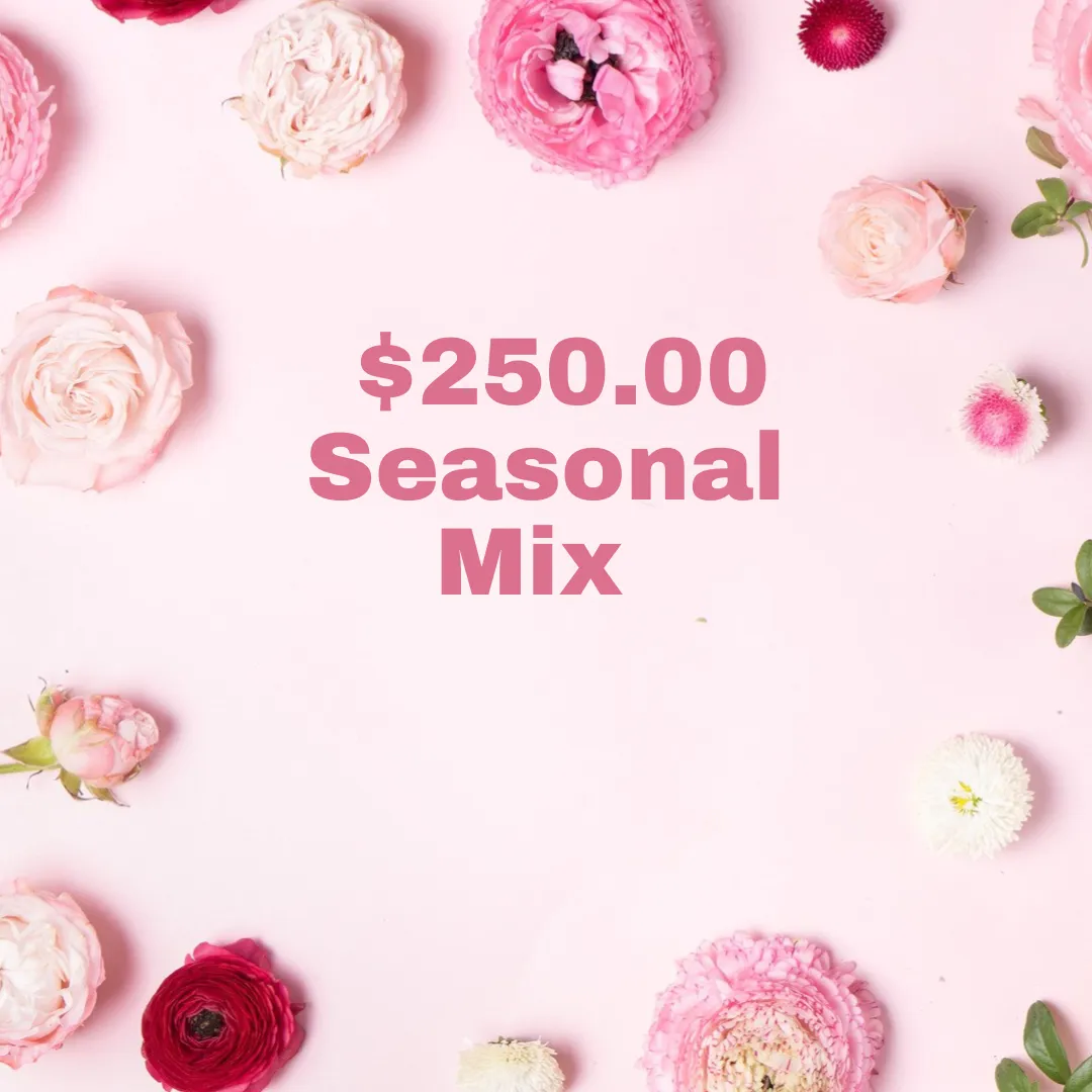 Seasonal Mix