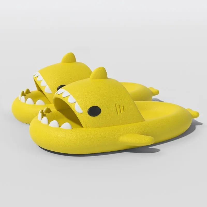Shark Slides