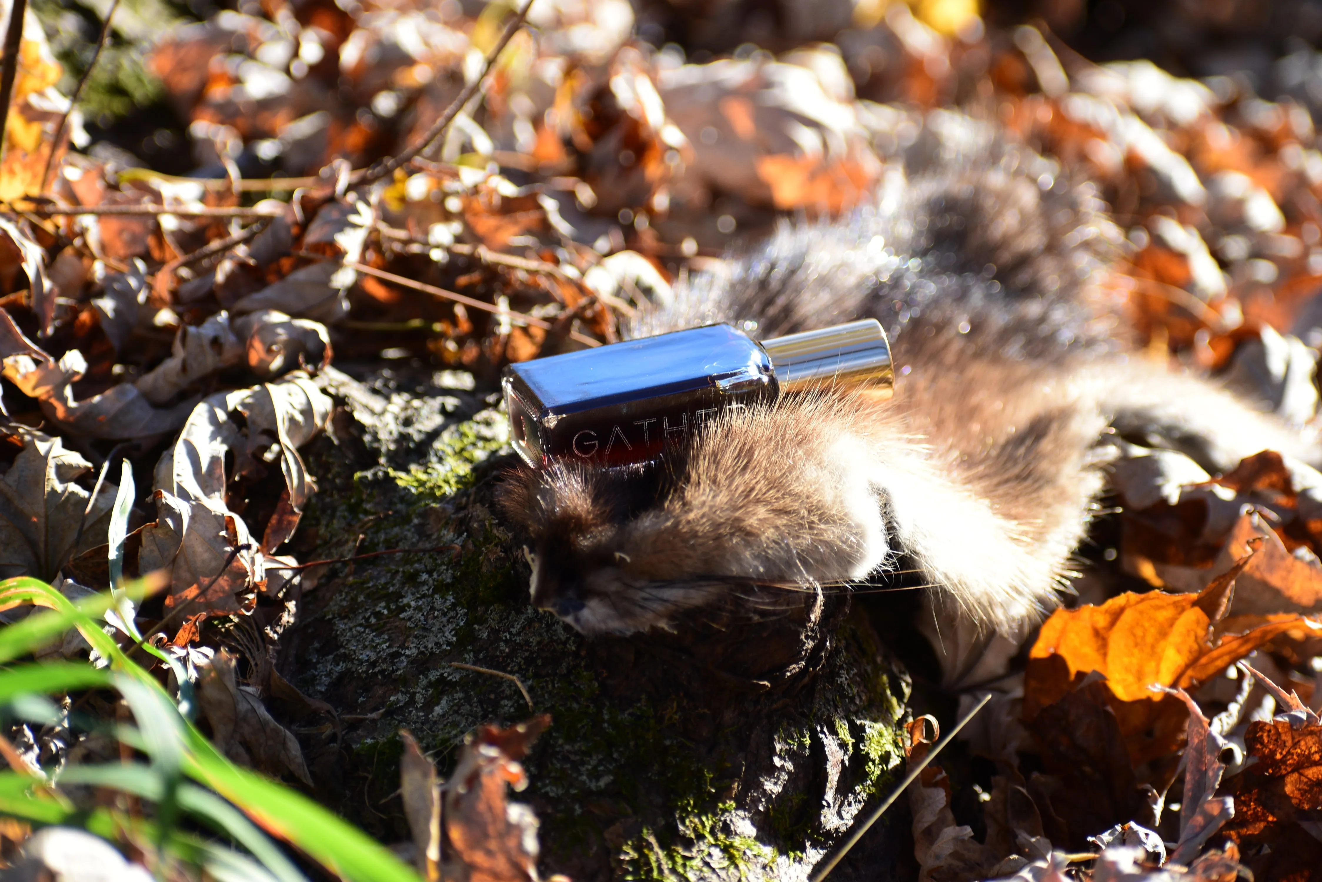SOFT ANIMAL ™| Primal Skin Scent | Natural Animalic Perfume | Floral Musk Chypre