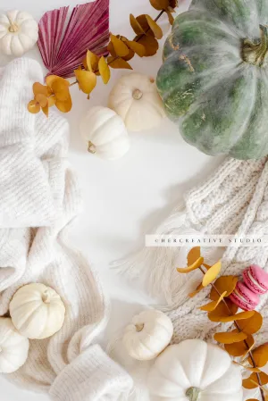 Sweaters, Macarons & Fall Pumpkins. Digital Stock Image.