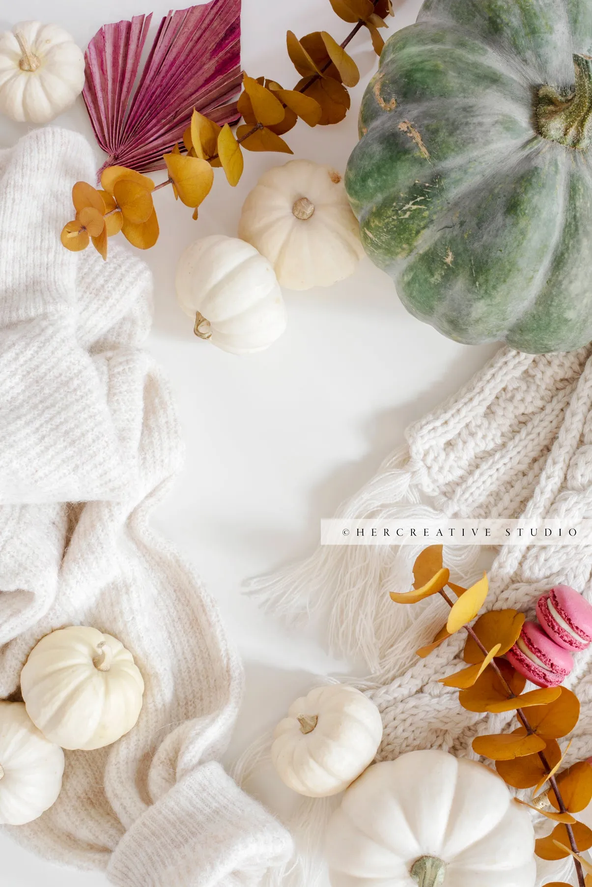 Sweaters, Macarons & Fall Pumpkins. Digital Stock Image.