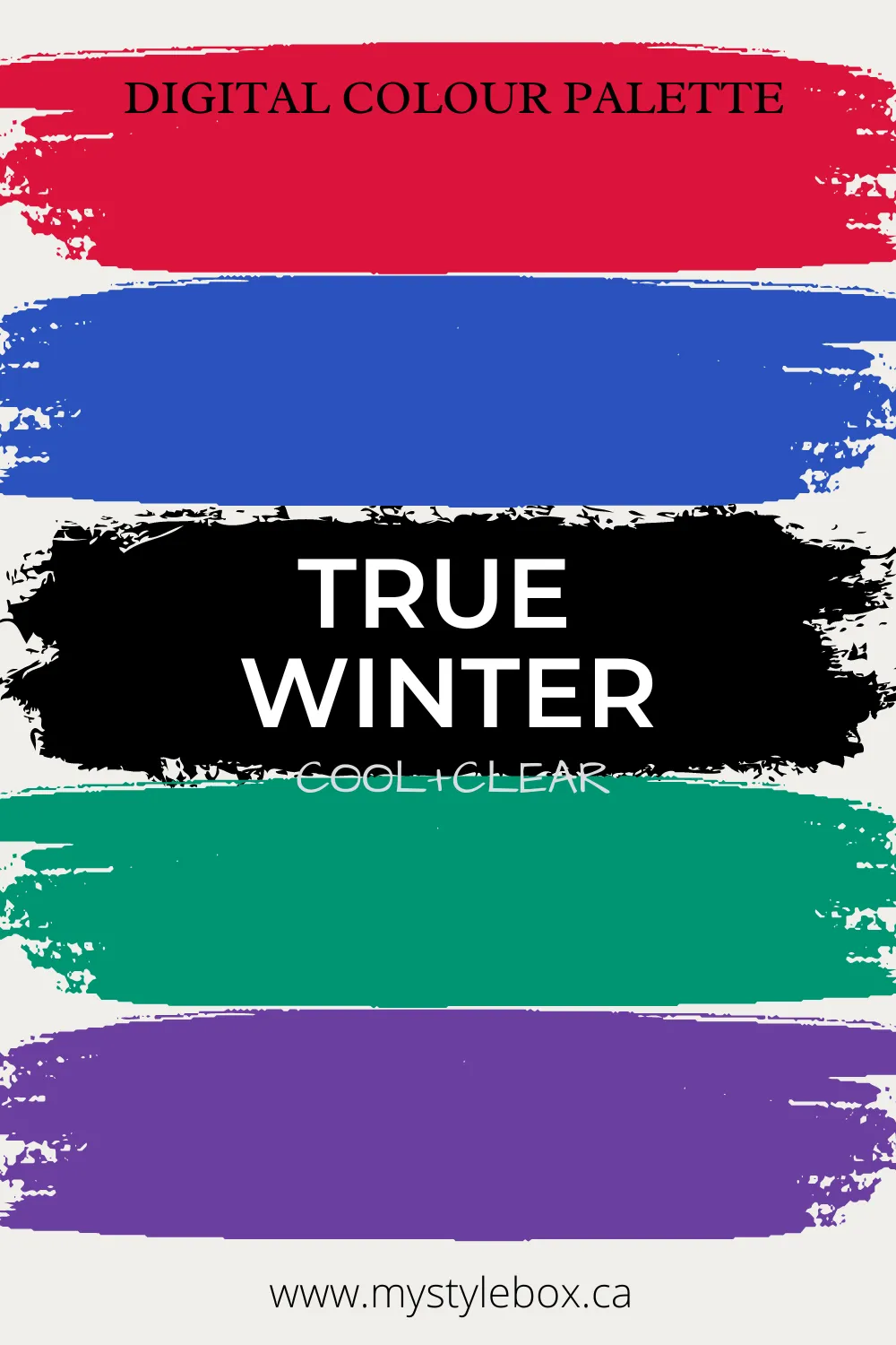 True Winter Season Digital Color Palette and Color Combinations Bundle