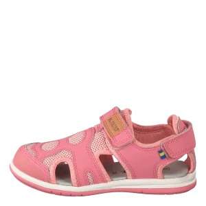 Vallby Wp Strawberry Rose