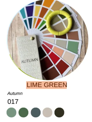 WC Lime Green Bracelet