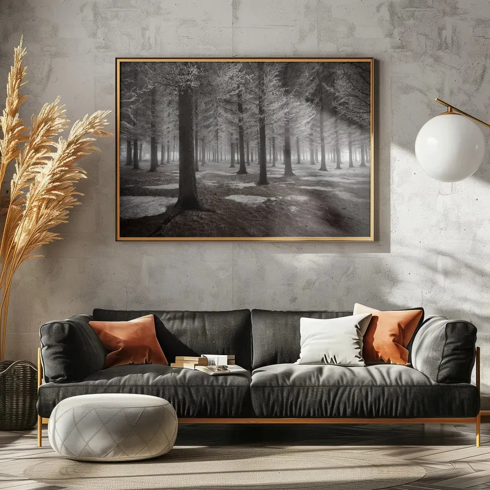 Winter Forest Landscape